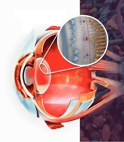 Ilustrasi kesehatan mata